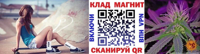 Где купить Выборг Кодеин Кокаин Амфетамин Бошки Шишки ГАШ A PVP