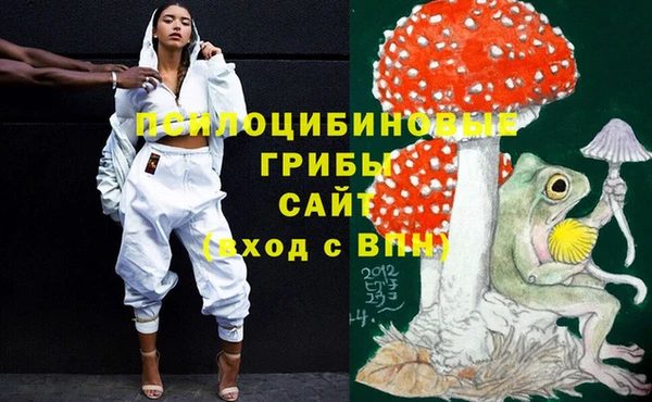 марки lsd Бугульма