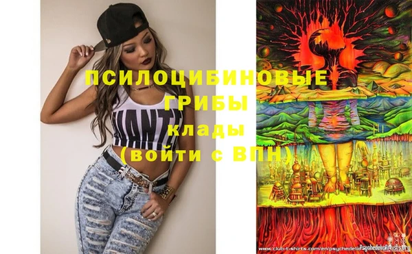 дживик Бронницы