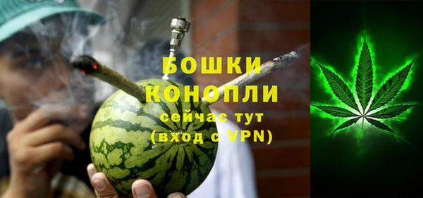 дживик Бронницы