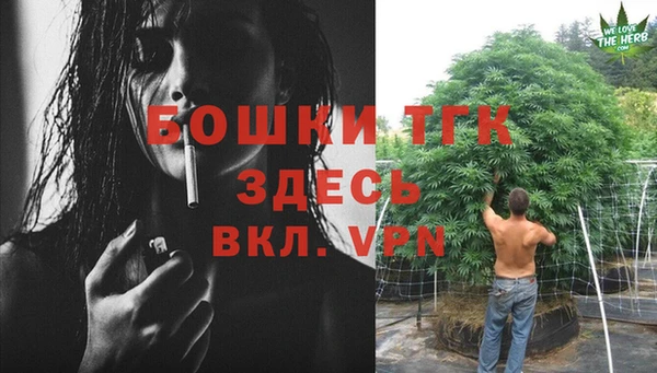 дживик Бронницы