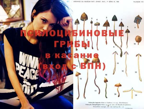 дживик Бронницы