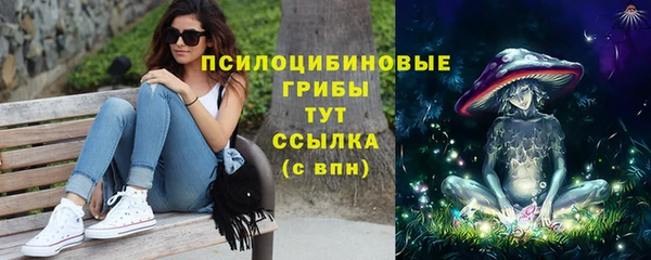 дживик Бронницы