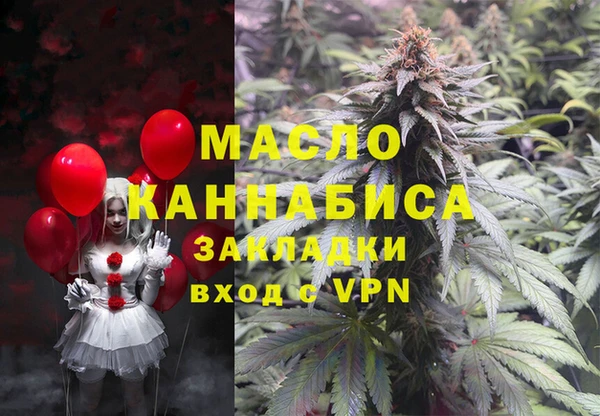 дживик Бронницы