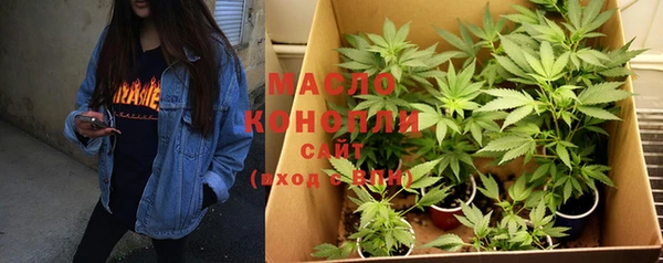 дживик Бронницы