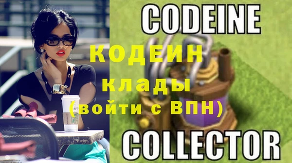 дживик Бронницы