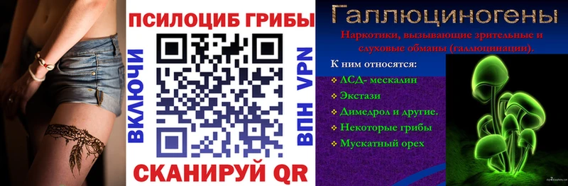 Псилоцибиновые грибы MAGIC MUSHROOMS  сколько стоит  кракен ТОР  Выборг 