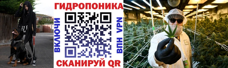 Шишки марихуана семена Выборг